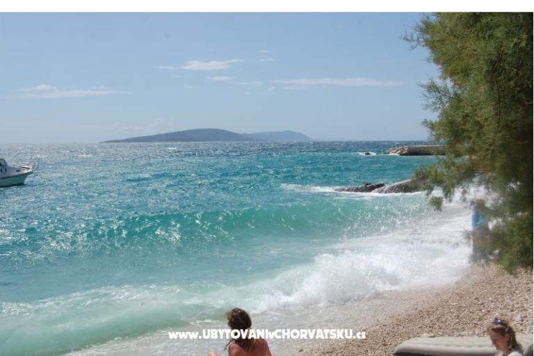 Casa Flowers – foto 13