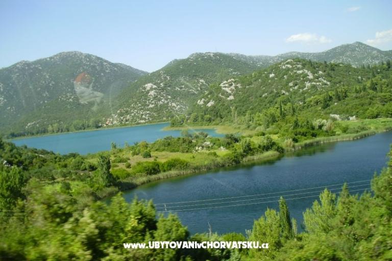 Casa Flowers – foto 14