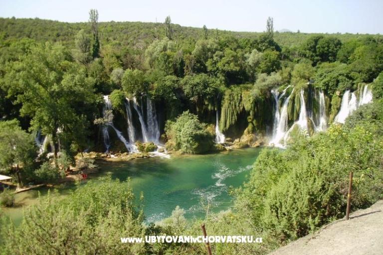 Casa Flowers – foto 15