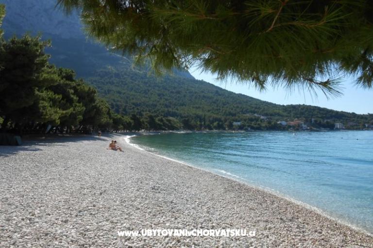 Casa Flowers – foto 16