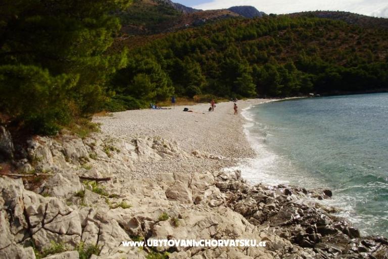 Casa Flowers – foto 17