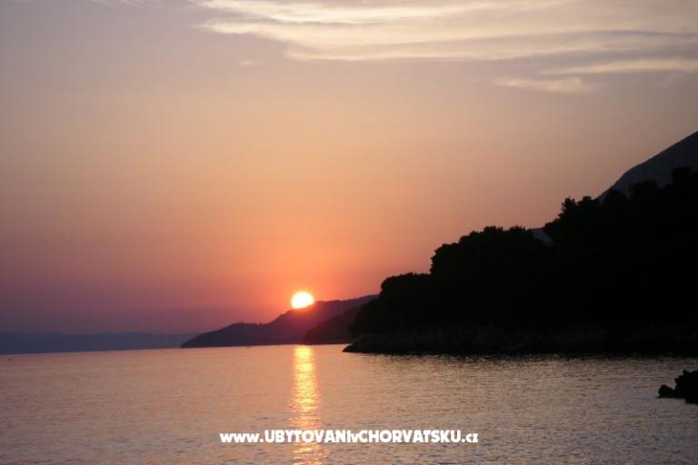 Casa Flowers – foto 18