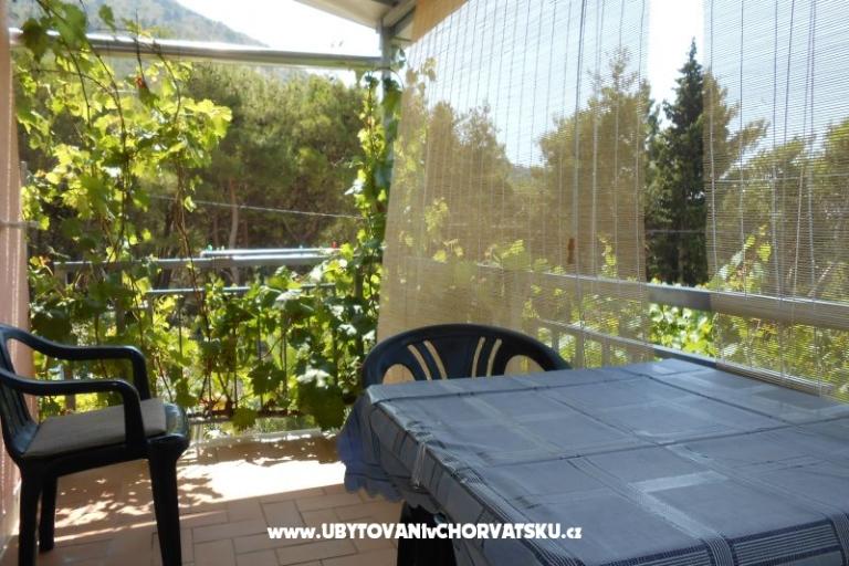 Casa Flowers – foto 6