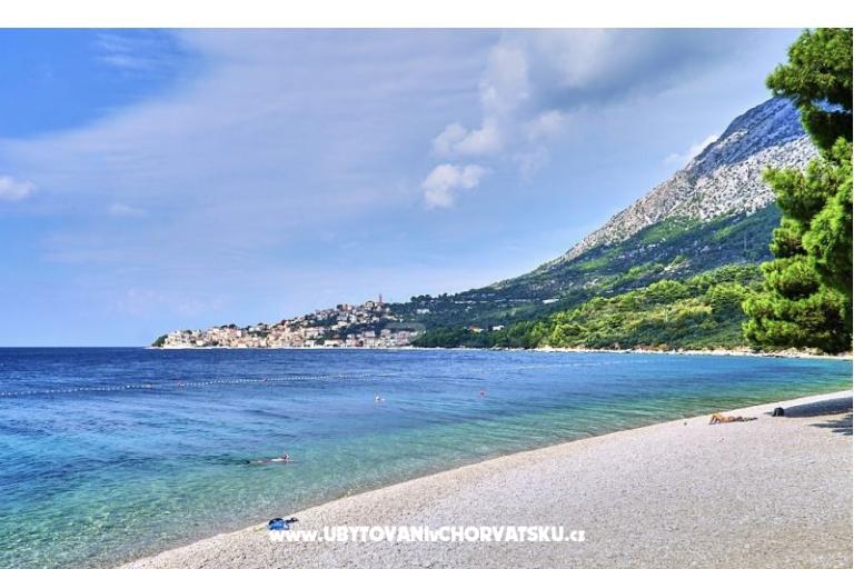 Casa Viter – foto 8