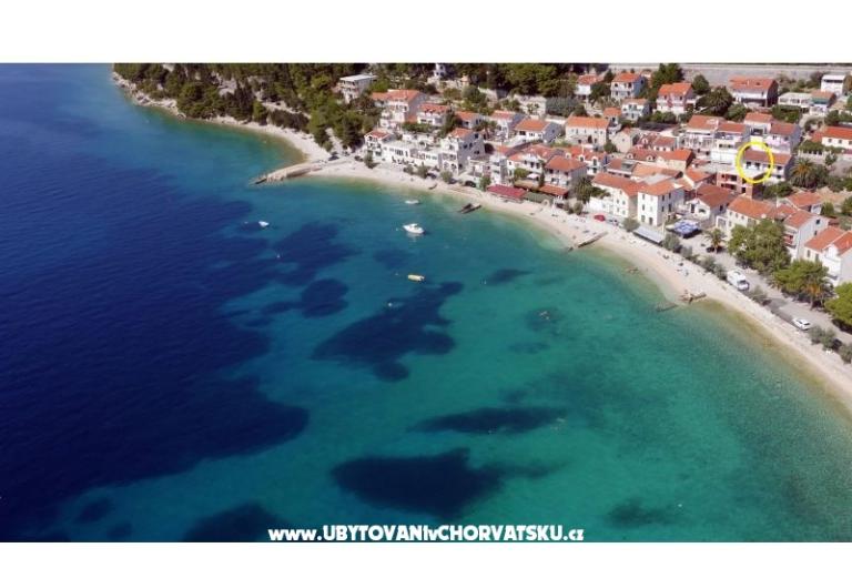 Lemon Tree – foto 3