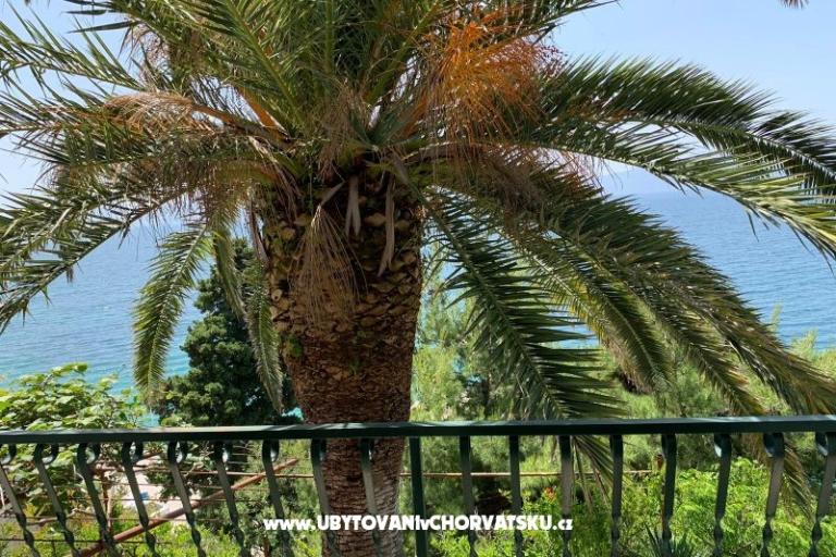 Apartmány Palma – foto 7