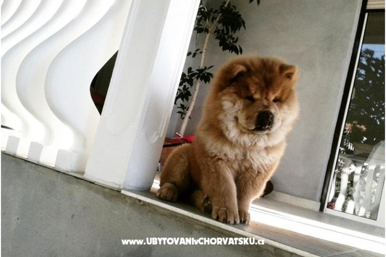 Apartmány Denis i Sandra – foto 15