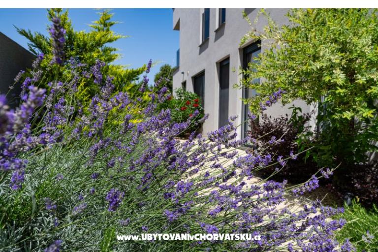 Villa Nina D – foto 7