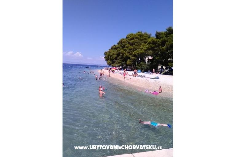 Apartmán Lola – foto 8