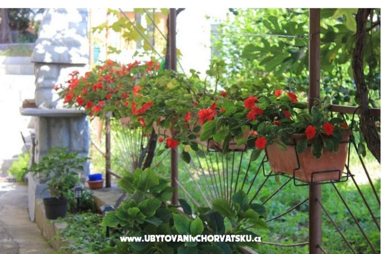 Apartmány DEMS 1 – foto 18