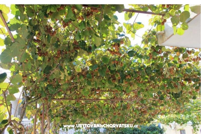 Apartmány DEMS 1 – foto 5