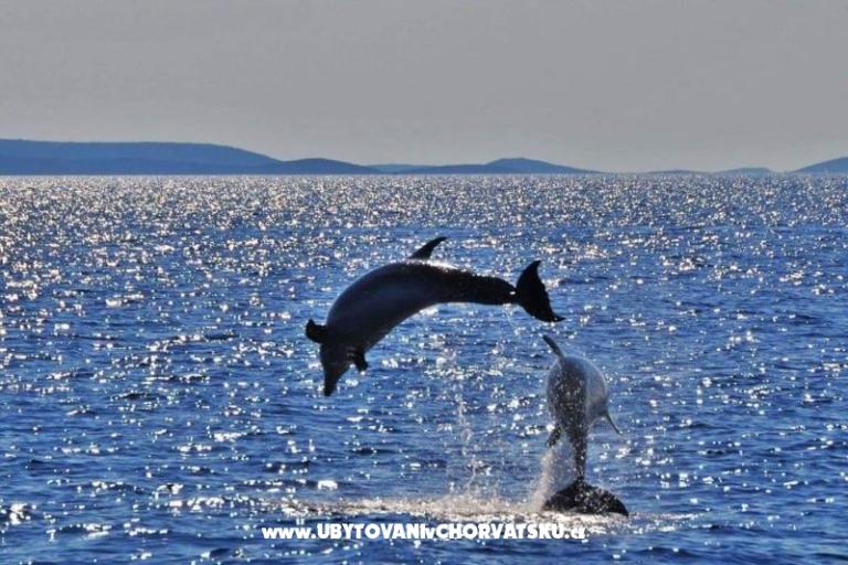 Apartmány Eva &amp; Ante – foto 19