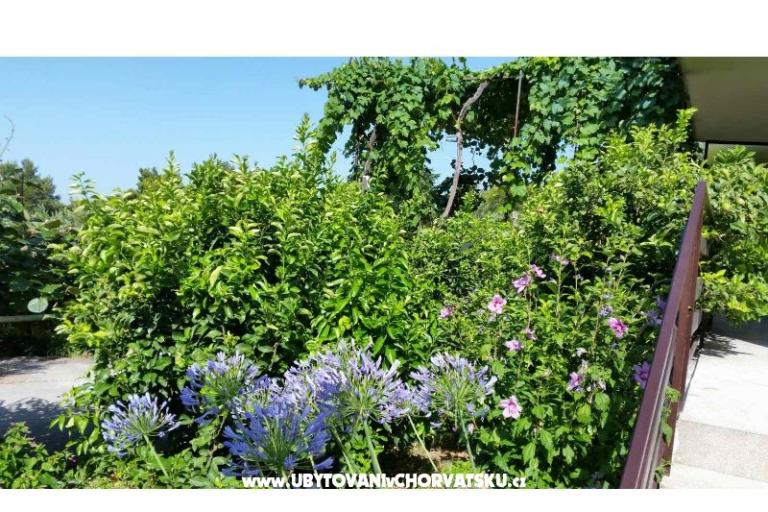 Apartmány Lily – foto 5