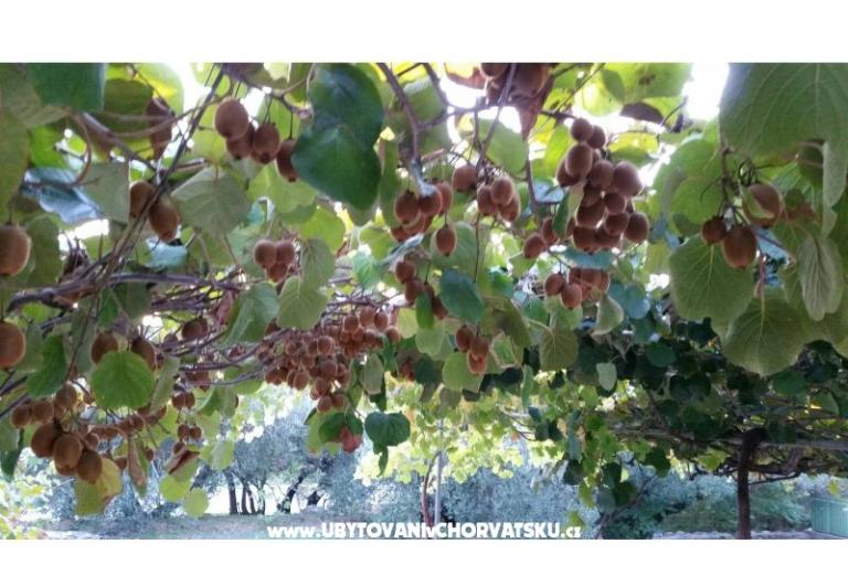 Apartmány Lily – foto 7