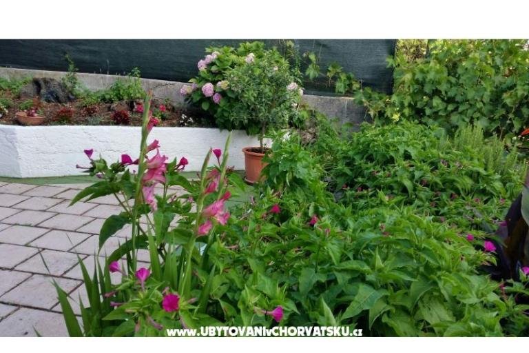 Apartmány Lily – foto 8