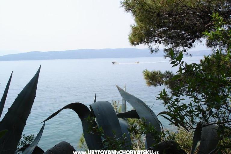 Apartmány Anita – foto 15