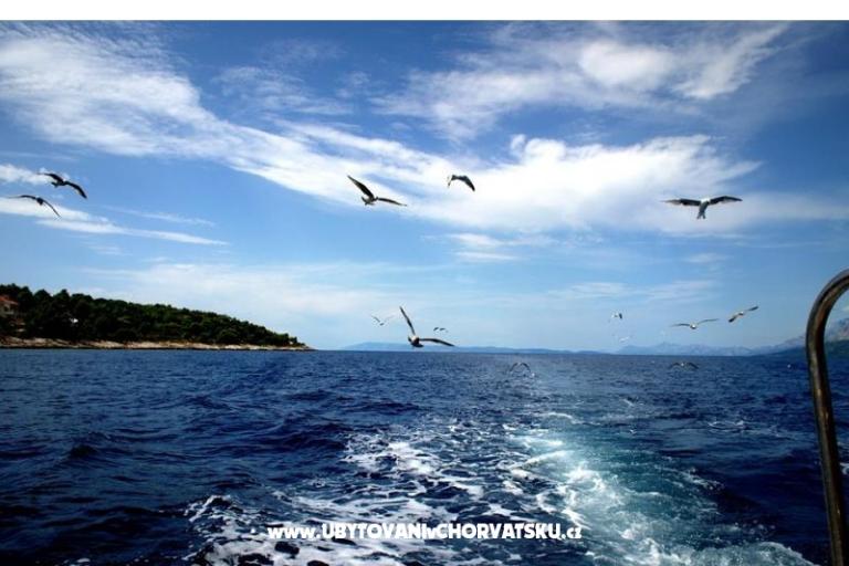 Apartmány Anita – foto 16