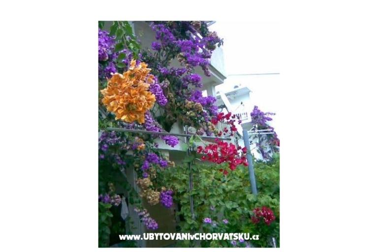 Apartmány LM – foto 18