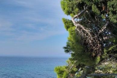 Apartmány Ena – foto 3