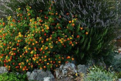 Apartmány MM – foto 17