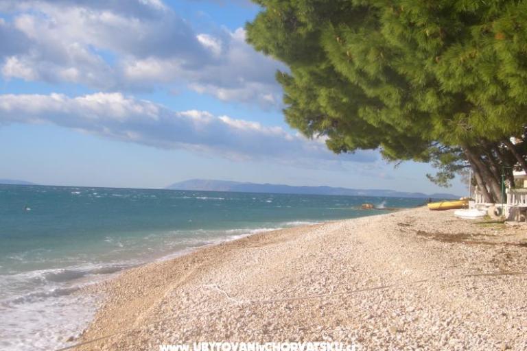 Kod dvije palme – foto 2