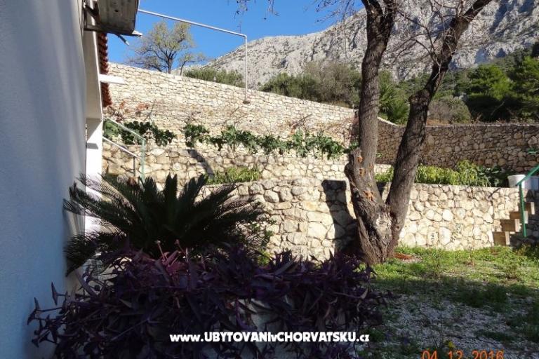 Dům Zorra Porat – foto 12