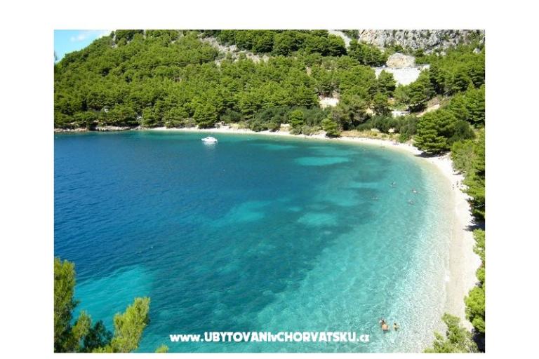 Apartmány Šapat mora – foto 6