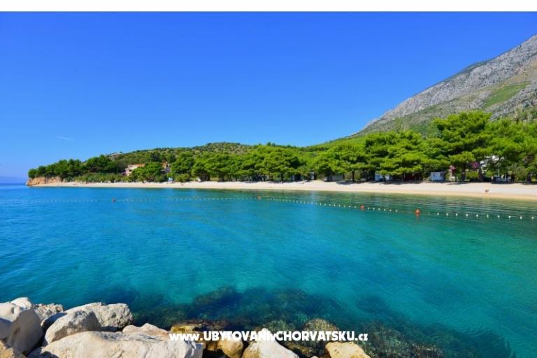 Villa Dalmatina – foto 15