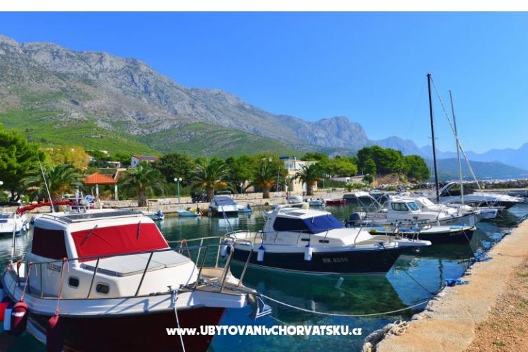 Villa Dalmatina – foto 17