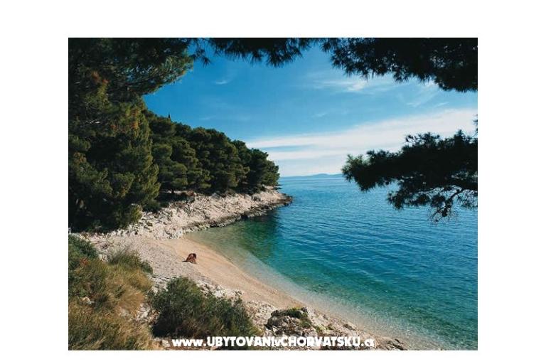 Villa Dalmatina – foto 18