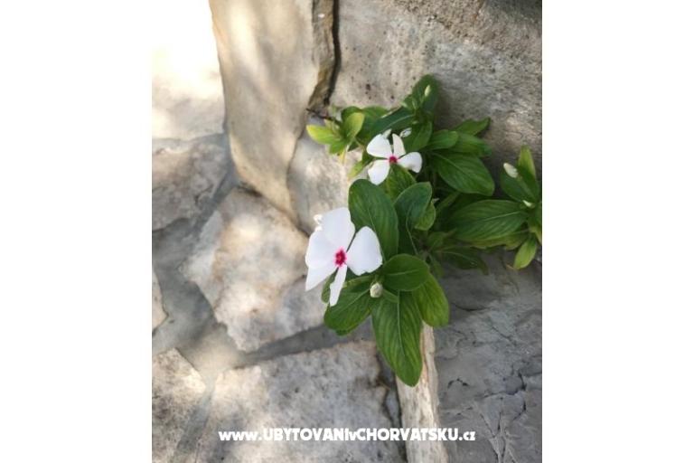 Apartmány Kod Vlaha ,I&T – foto 14