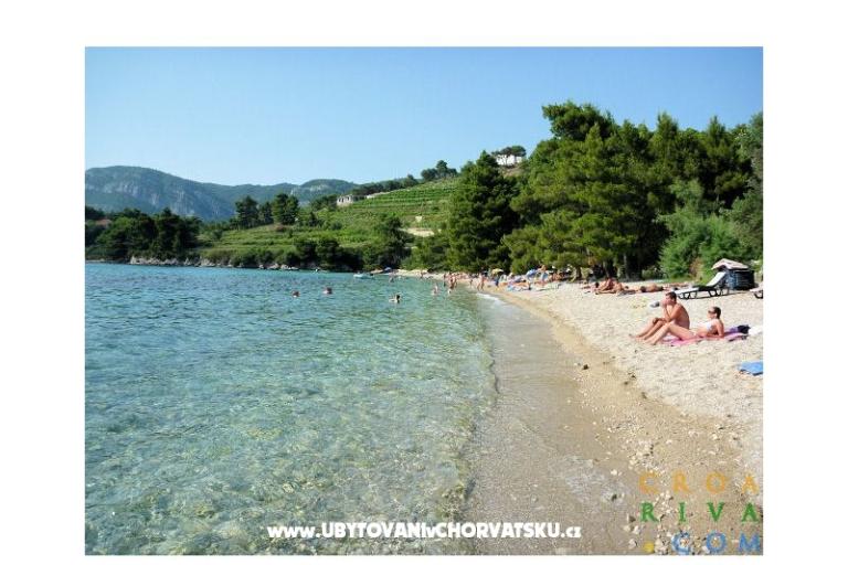 Apartmán Bjanka – foto 9