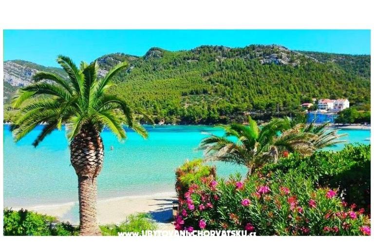 Dům Kate Čakelić – foto 7