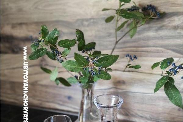 Villa Filipovic 2 Apartmány Žuljana – foto 8