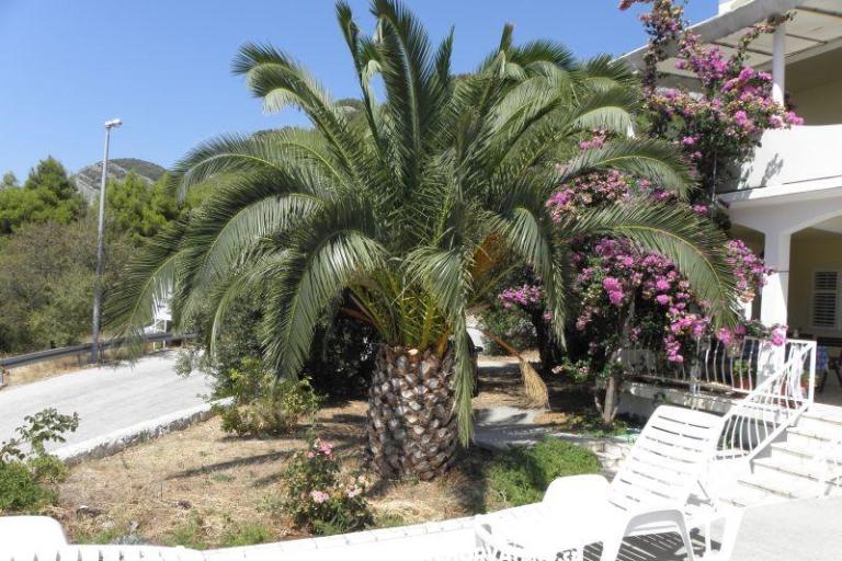 Apartmány Cavelis – foto 10