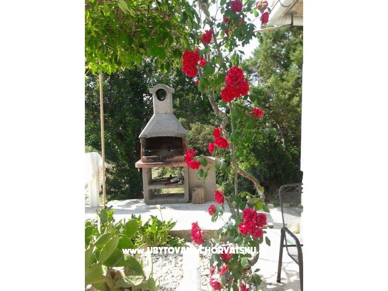 Kuća za odmor - Zapuntel – Ferienwohnung Inseln Ist  &amp; Molat, Kroatien – Foto 10