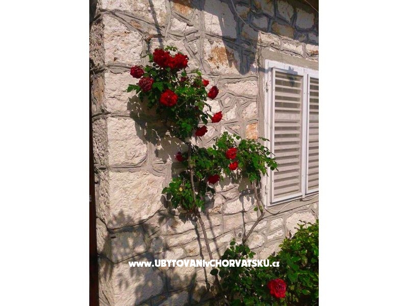 Kuća za odmor - Zapuntel – Ferienwohnung Inseln Ist  &amp; Molat, Kroatien – Foto 12