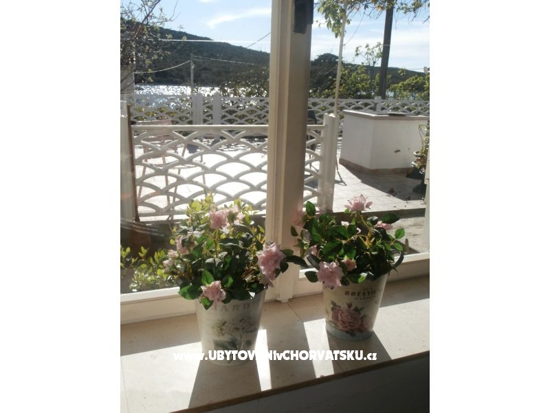 Kuća za odmor - Zapuntel – Ferienwohnung Inseln Ist  &amp; Molat, Kroatien – Foto 13