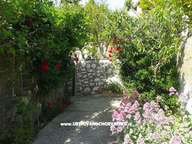 Kuća za odmor - Zapuntel – Ferienwohnung Inseln Ist  &amp; Molat, Kroatien – Foto 14