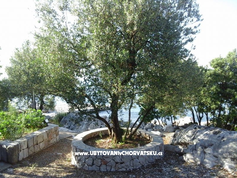 Apartment Smiljana – Ferienwohnung Drace &amp; Trstenik, Kroatien – Foto 2