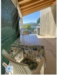 Appartements Ankica - Drace &amp;amp; Trstenik Kroatien