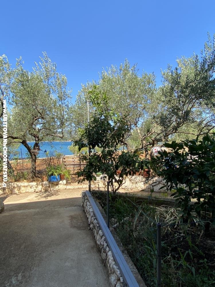 Apartments Ankica - Drace & Trstenik Croatia