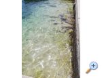 Apartmaji Kabli1 - Drace &amp;amp; Trstenik Hrvaka