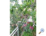 Apartmaji Kabli1 - Drace &amp;amp; Trstenik Hrvaka