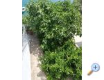 Apartmaji Kabli1 - Drace &amp;amp; Trstenik Hrvaka