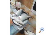 Apartmaji Kabli1 - Drace &amp;amp; Trstenik Hrvaka