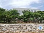 Apartmaji Kabli1 - Drace &amp;amp; Trstenik Hrvaka