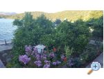 Appartements Rua - Drace &amp;amp; Trstenik Croatie