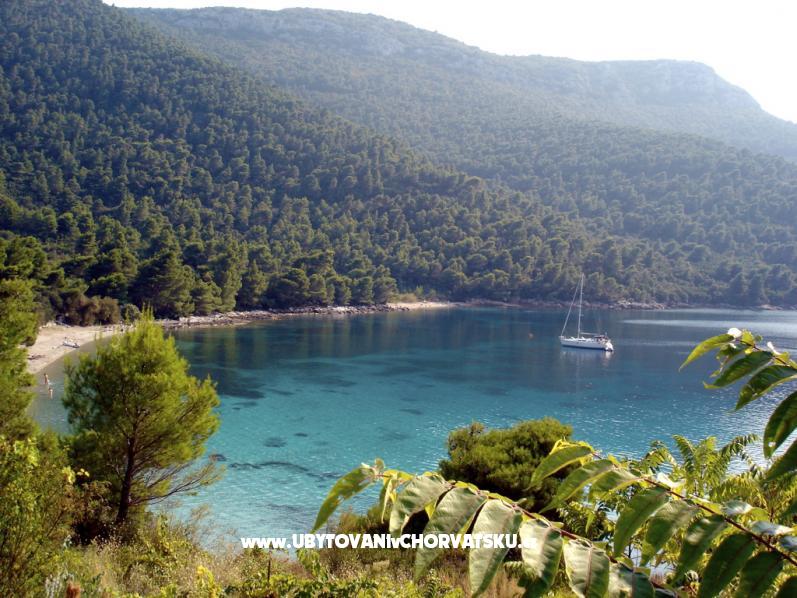 Ferienwohnungen Trstenik – Ferienwohnung Drace &amp; Trstenik, Kroatien – Foto 8