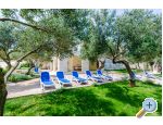 APARTMENTS GLAVOR DRA�E - Drace &amp;amp; Trstenik Chorvatsko